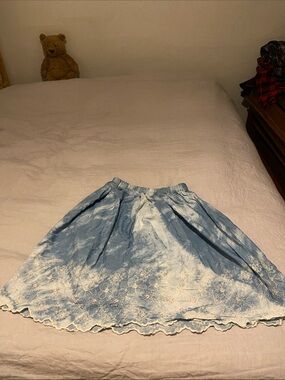 Light Blue Embroidered A-Line Skirt